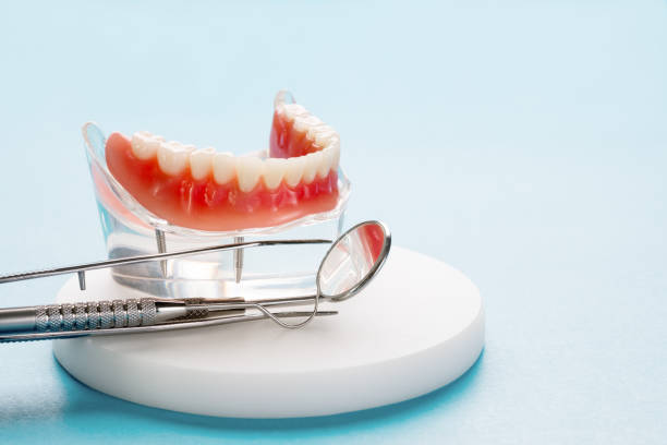 Best Invisalign and Clear Aligners  in Valrico, FL